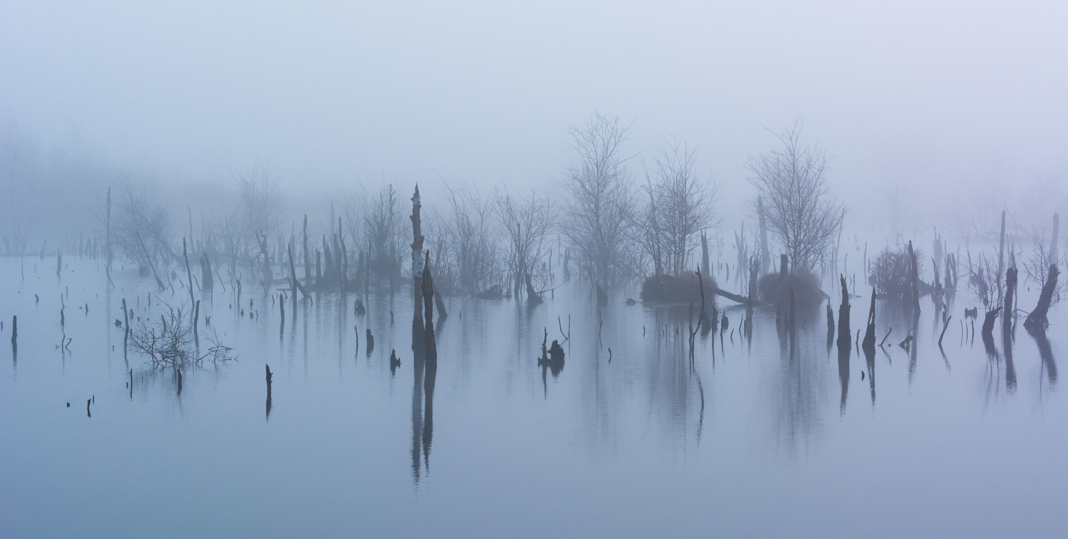 Morgennebel