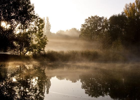 Morgennebel