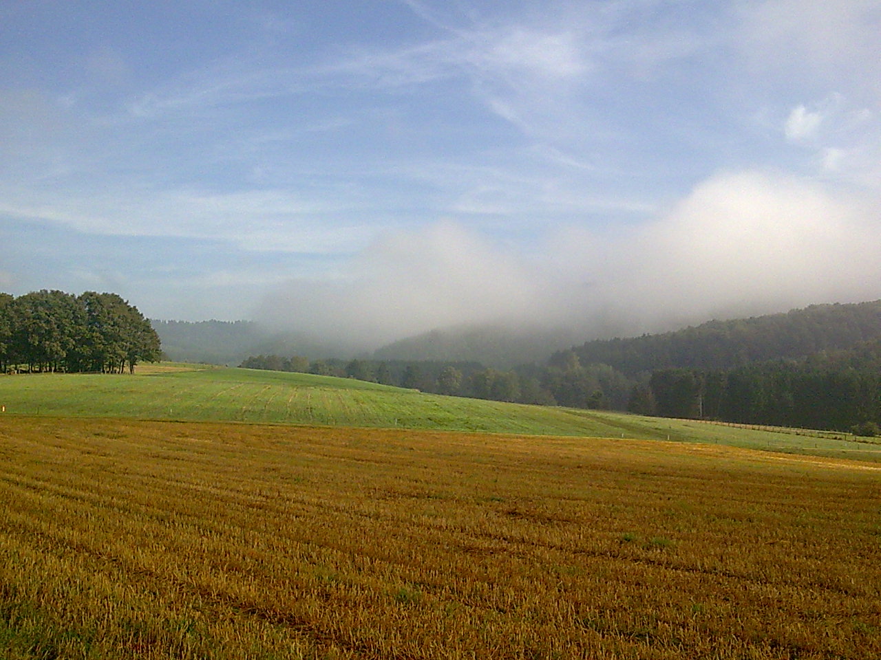 Morgennebel