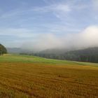 Morgennebel