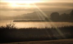 Morgennebel