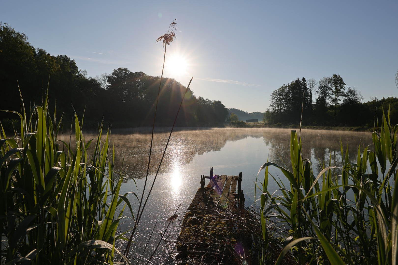 Morgennebel … 