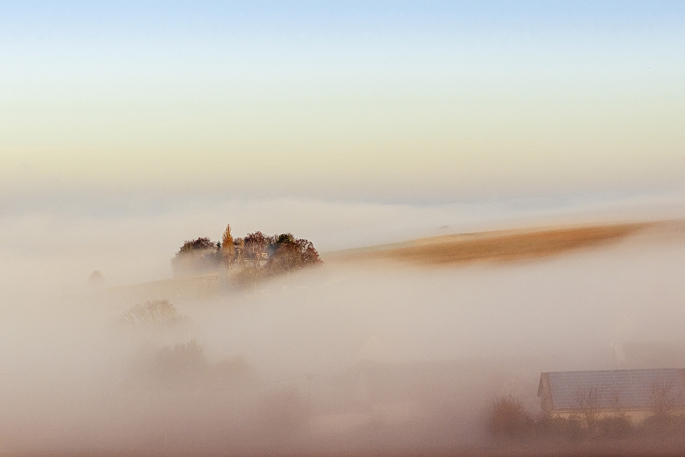 Morgennebel