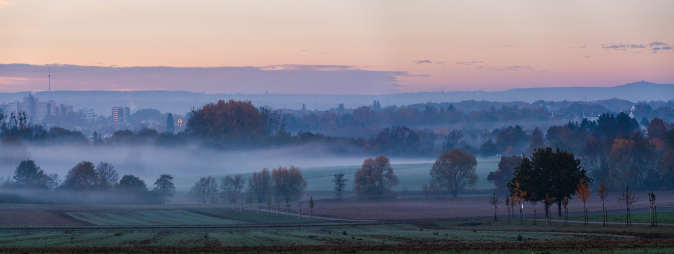 Morgennebel