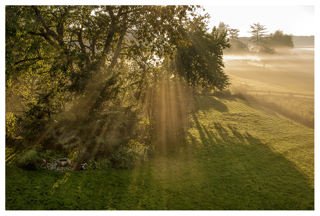 Morgennebel