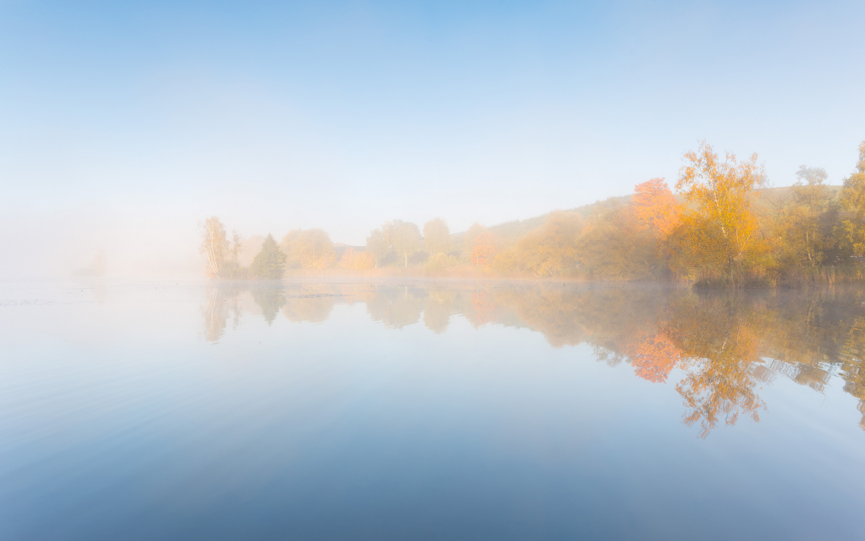 Morgennebel