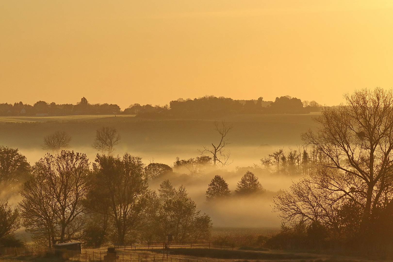 Morgennebel