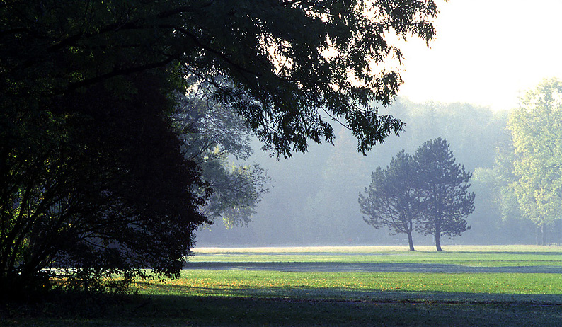 Morgennebel