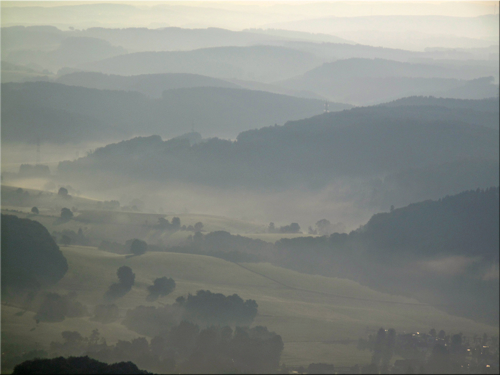 Morgennebel