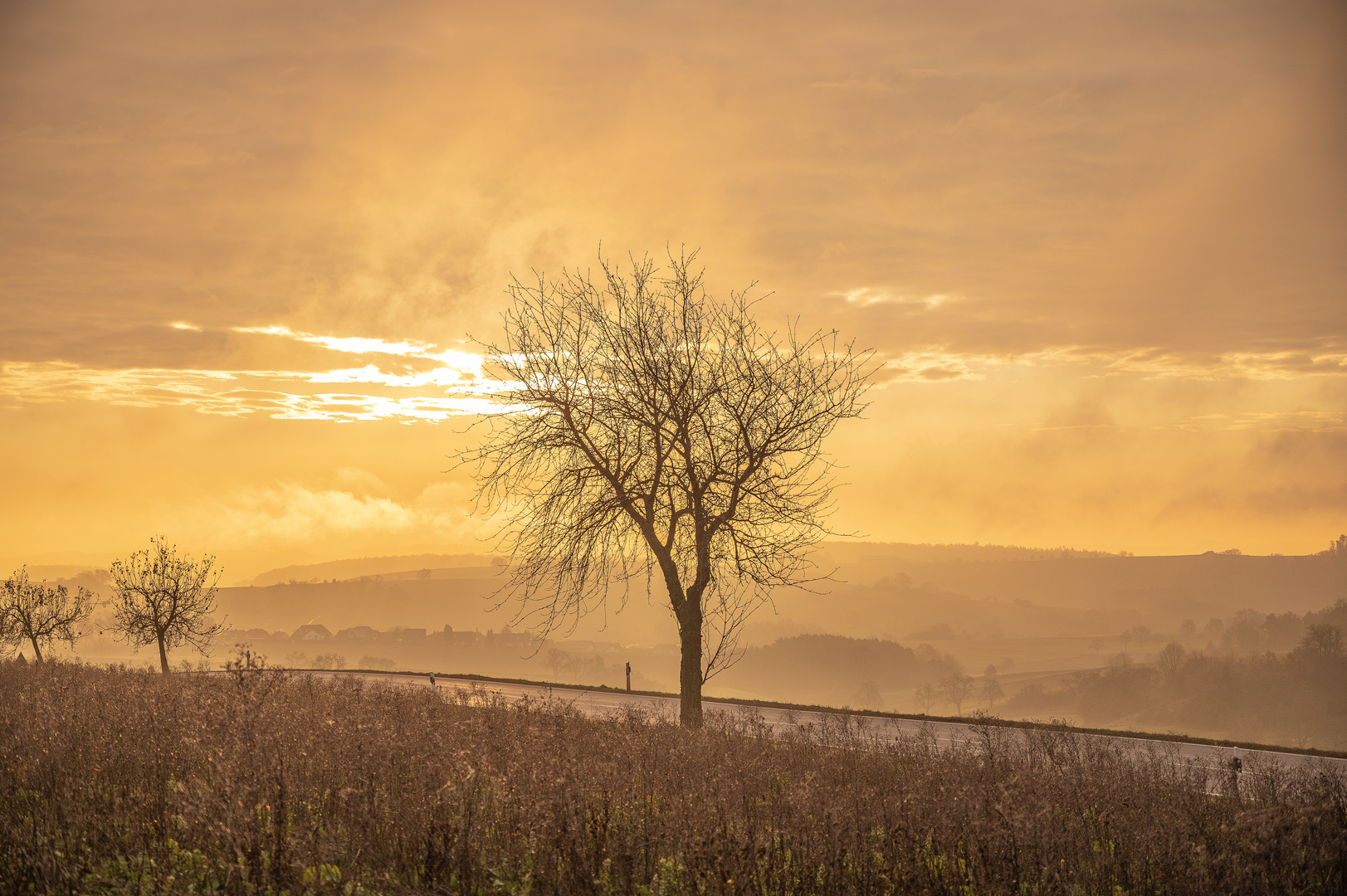 Morgennebel