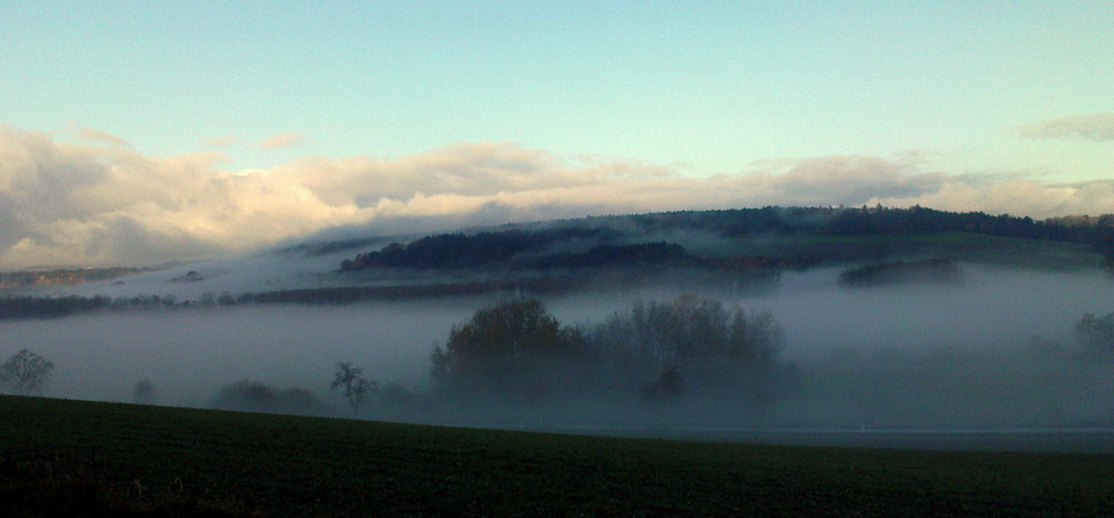 Morgennebel