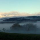 Morgennebel