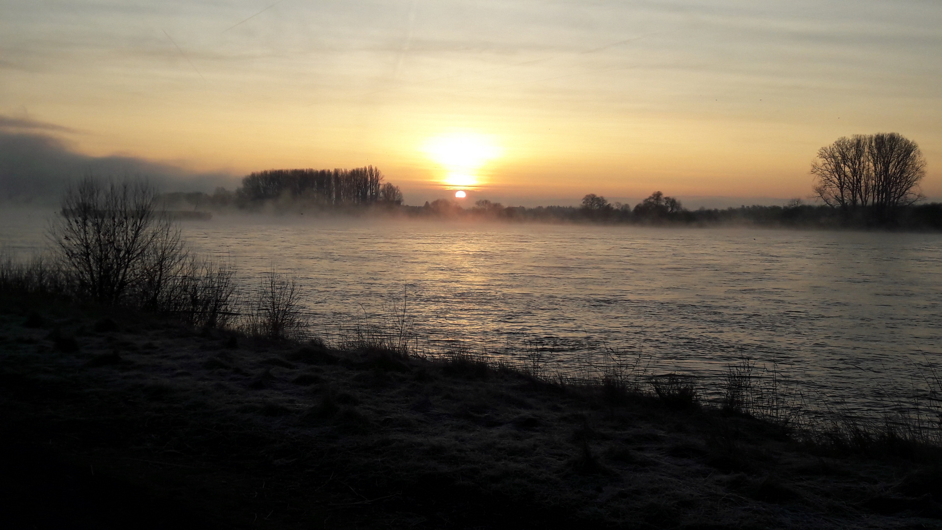 Morgennebel