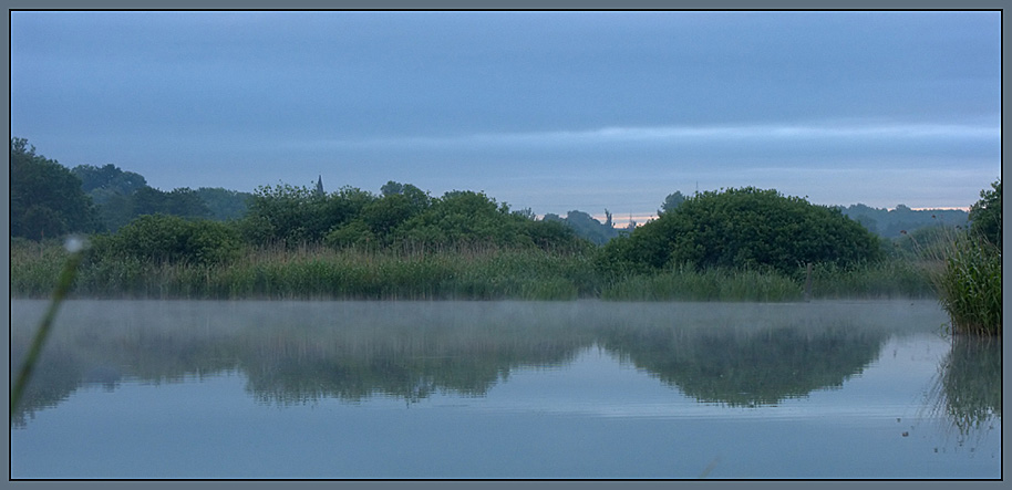 Morgennebel