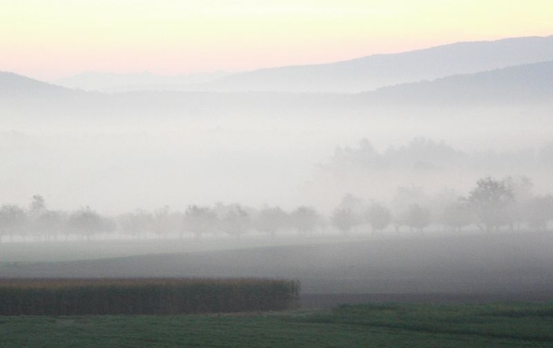 Morgennebel