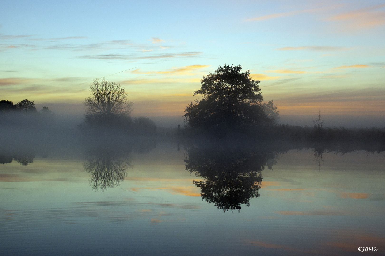 Morgennebel