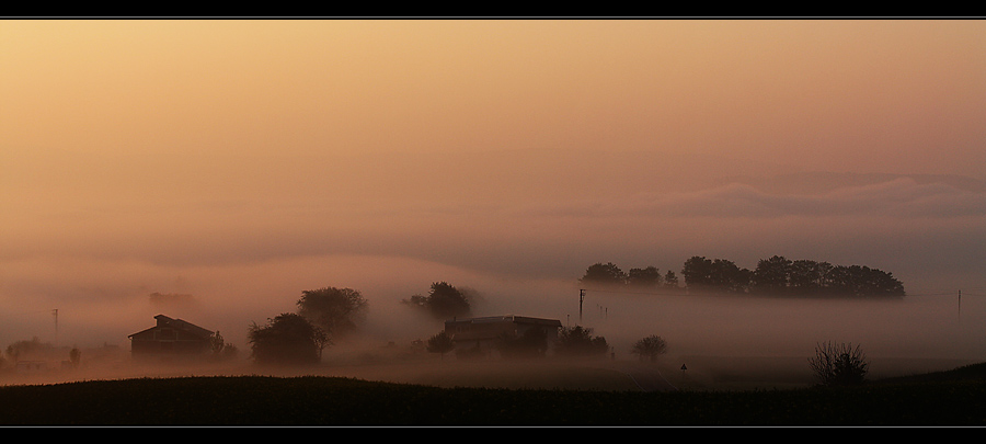 morgennebel