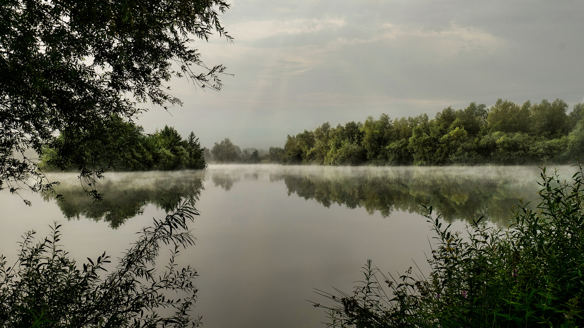 Morgennebel