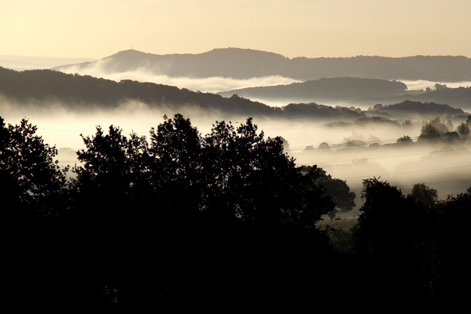 Morgennebel