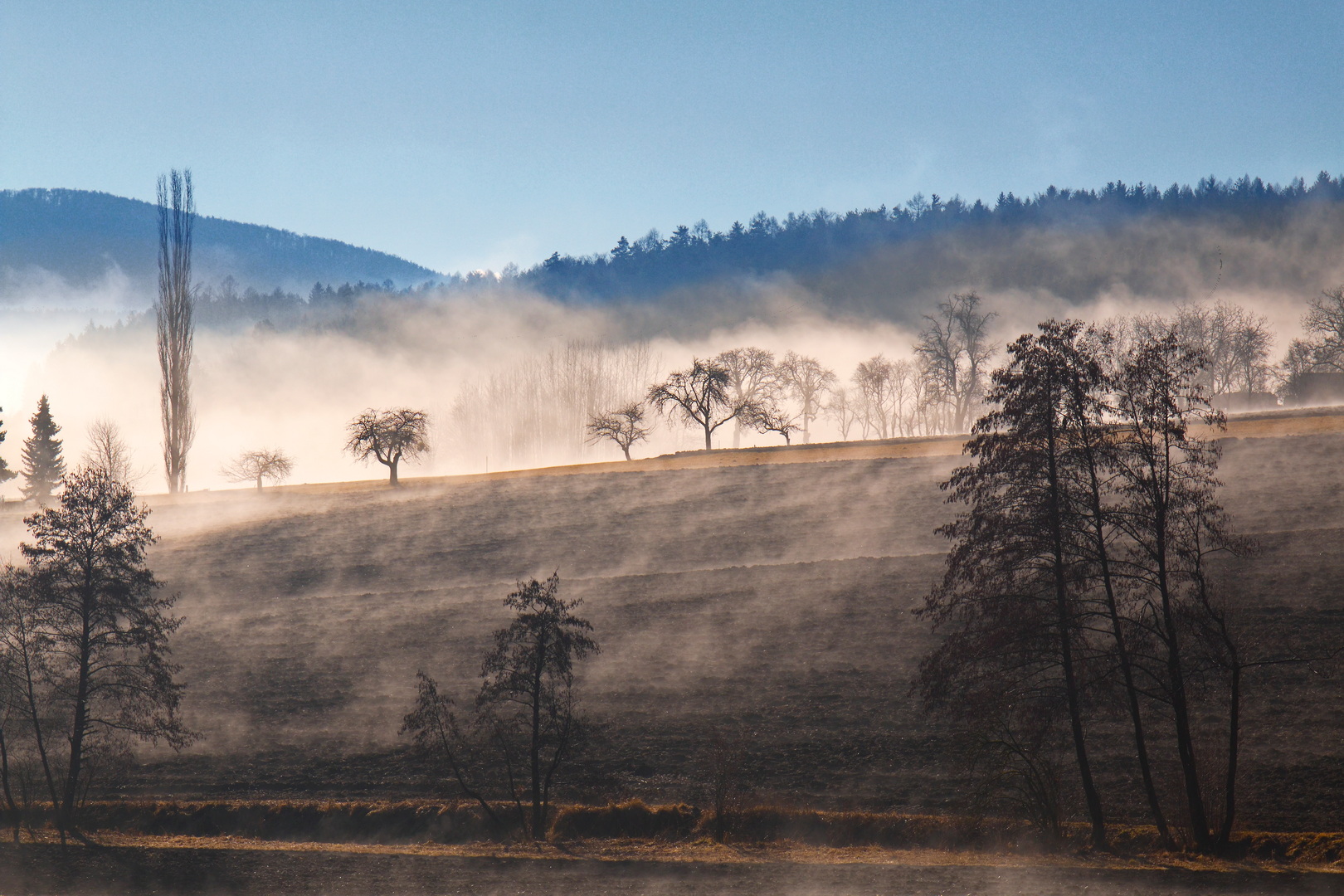 Morgennebel