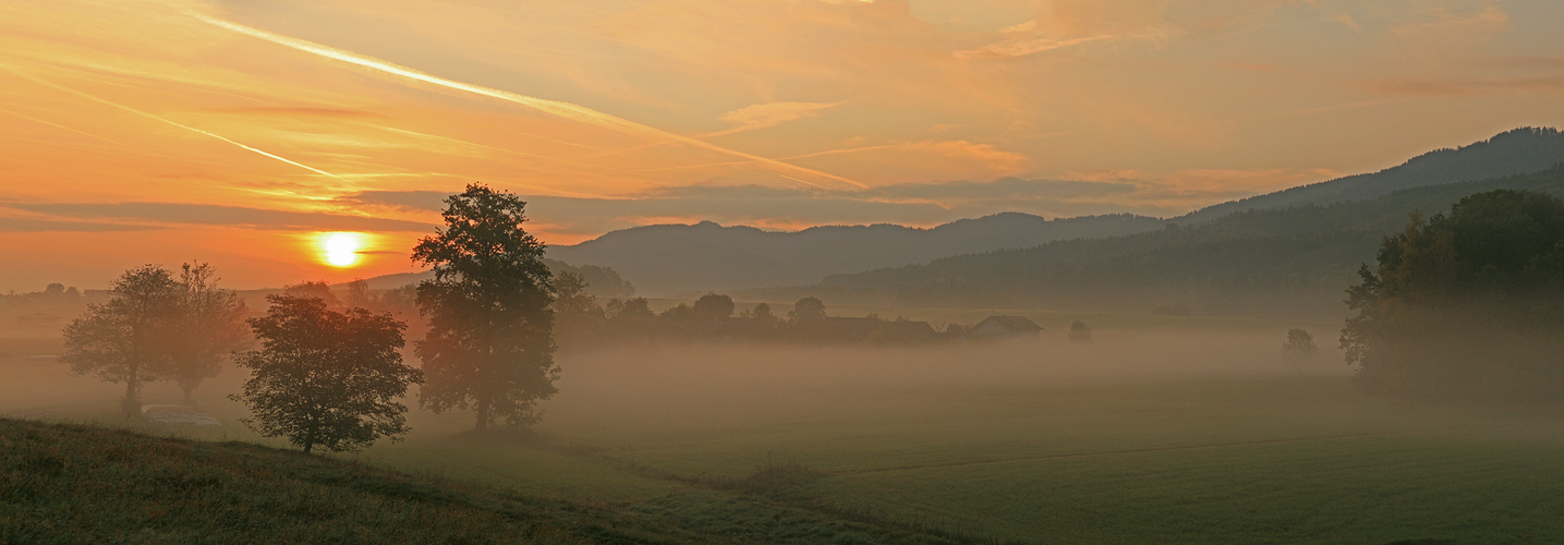 Morgennebel ...