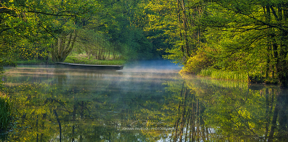 Morgennebel