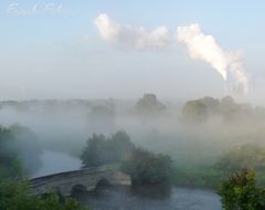 Morgennebel der Saaleaue (2)