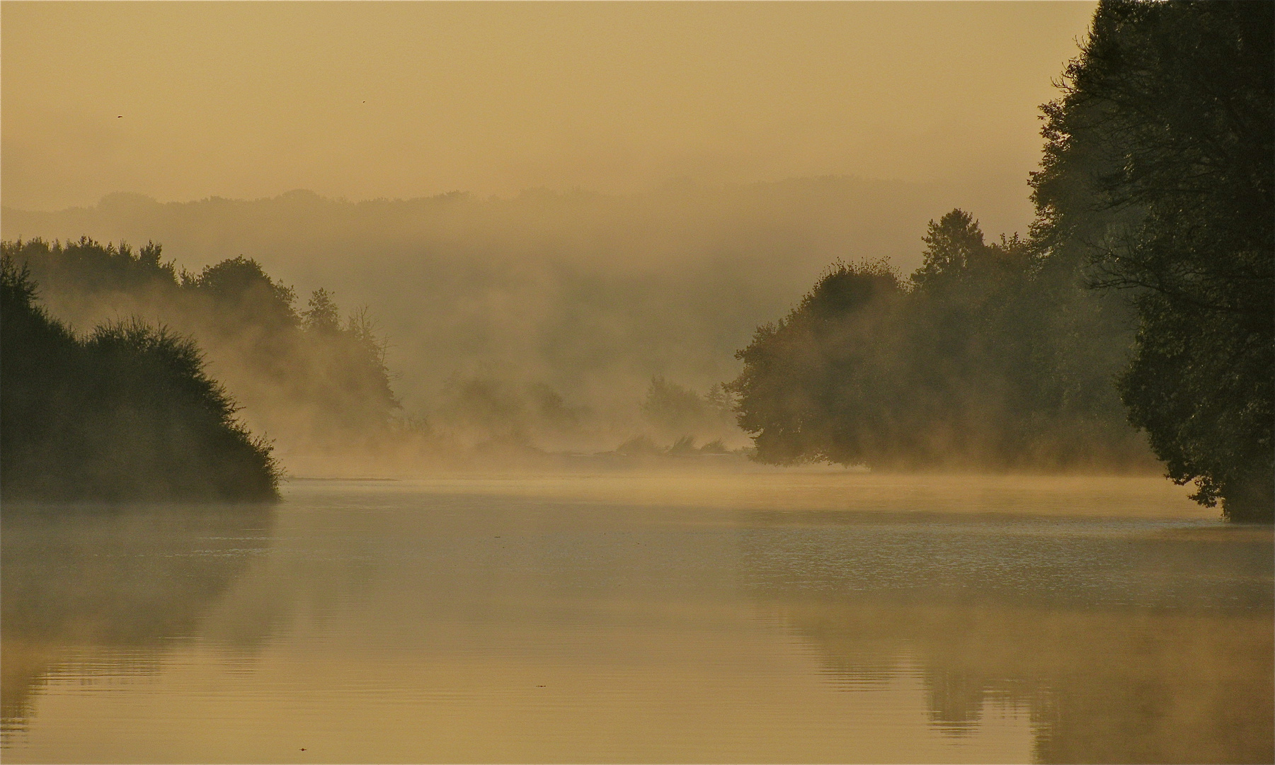 ..MORGENNEBEL !!!..