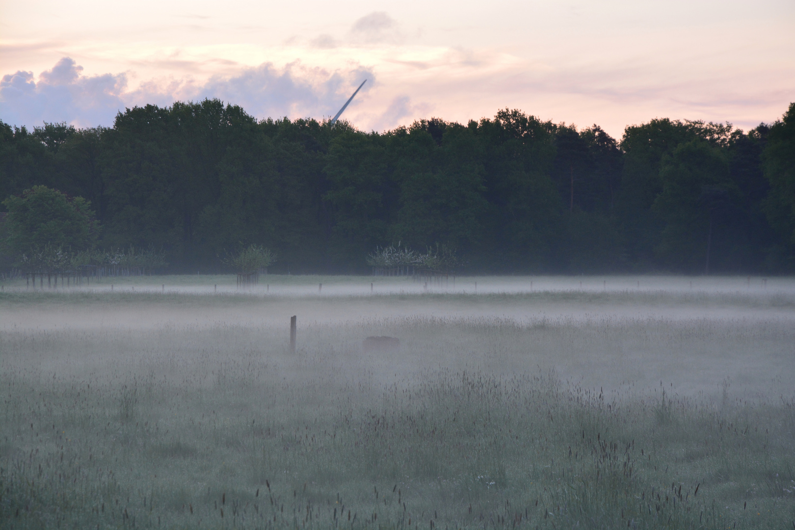 #...Morgennebel.......#