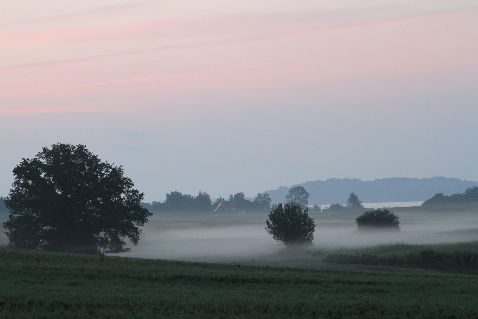 Morgennebel