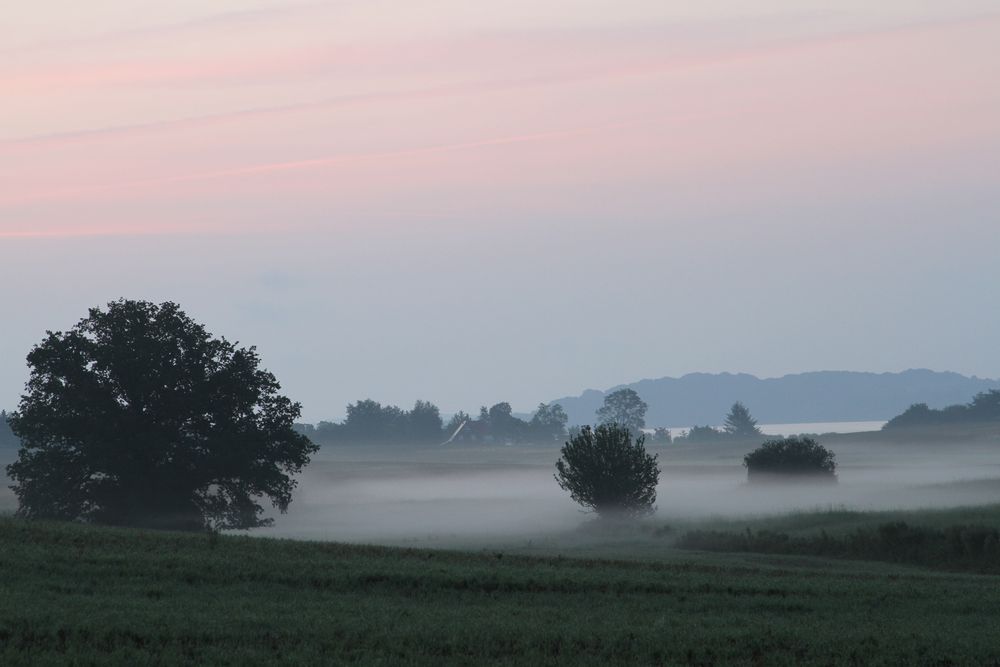 Morgennebel