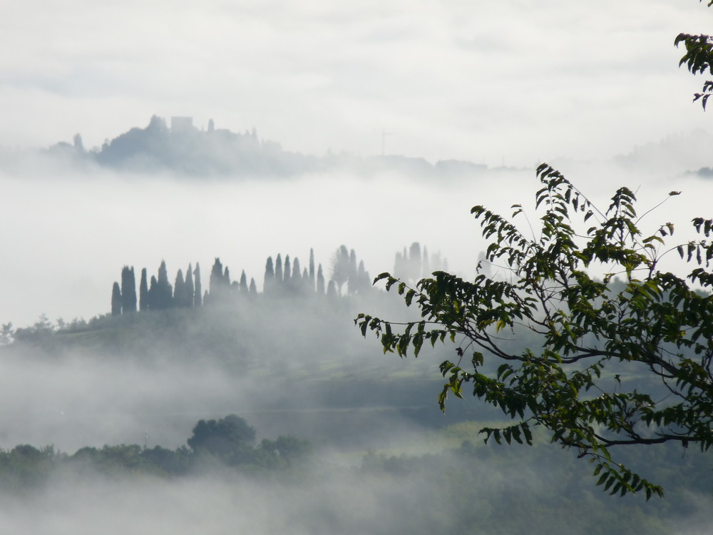 Morgennebel di Montaione