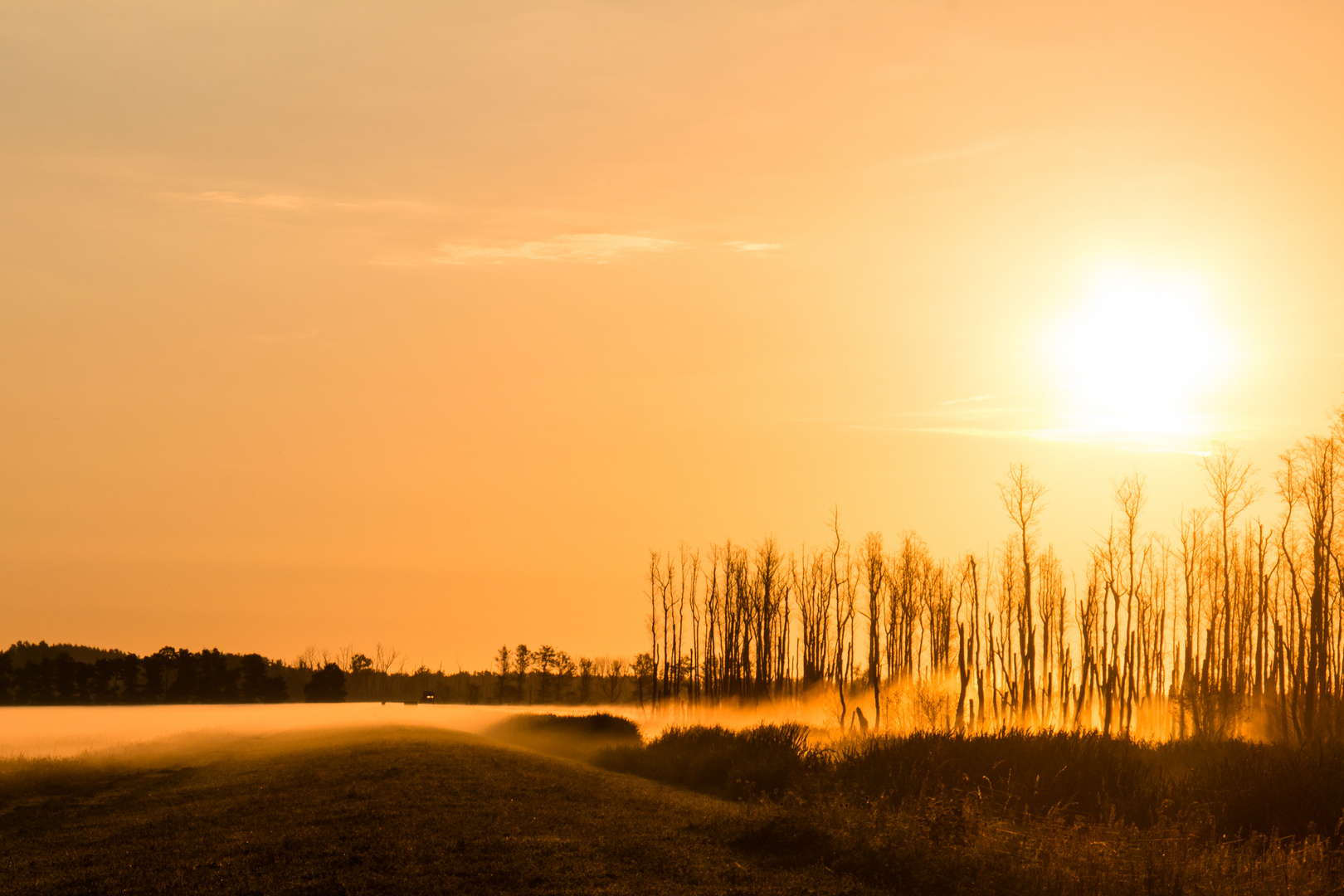 Morgennebel