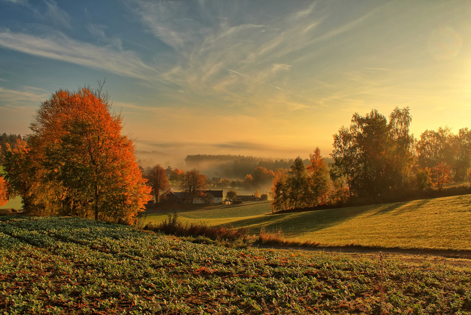 Morgennebel 