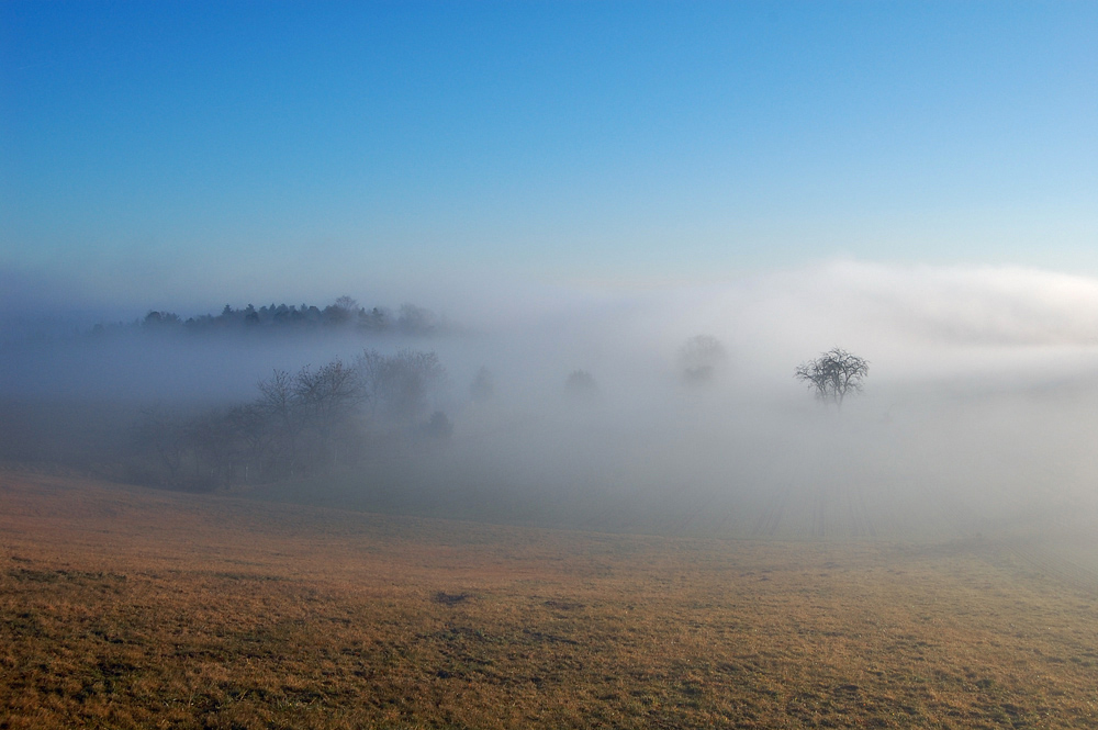 Morgennebel