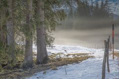 Morgennebel