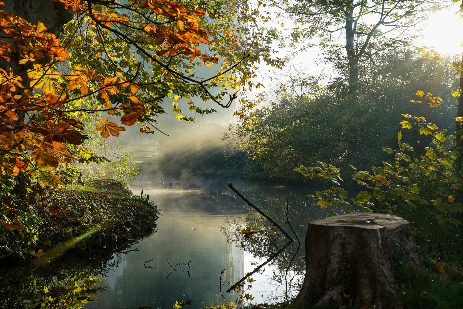 Morgennebel