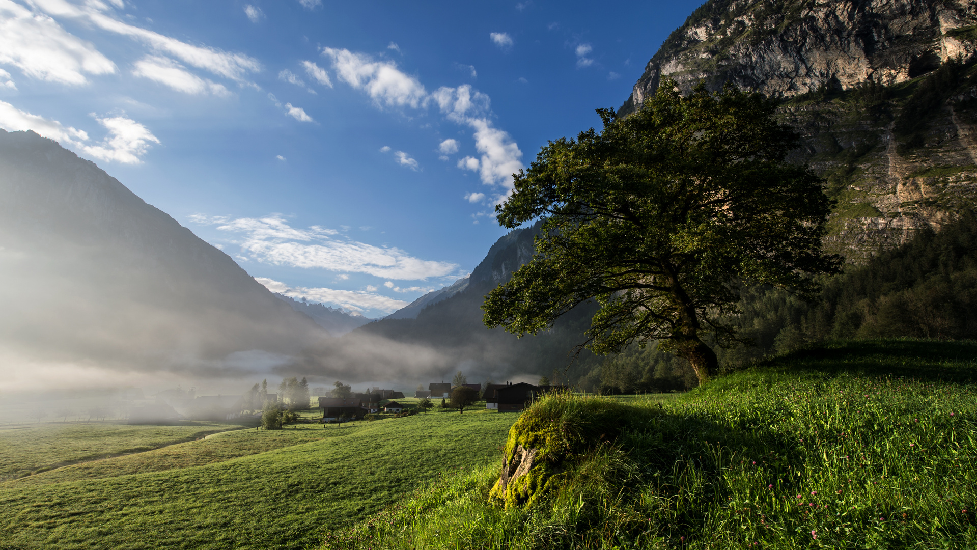 Morgennebel