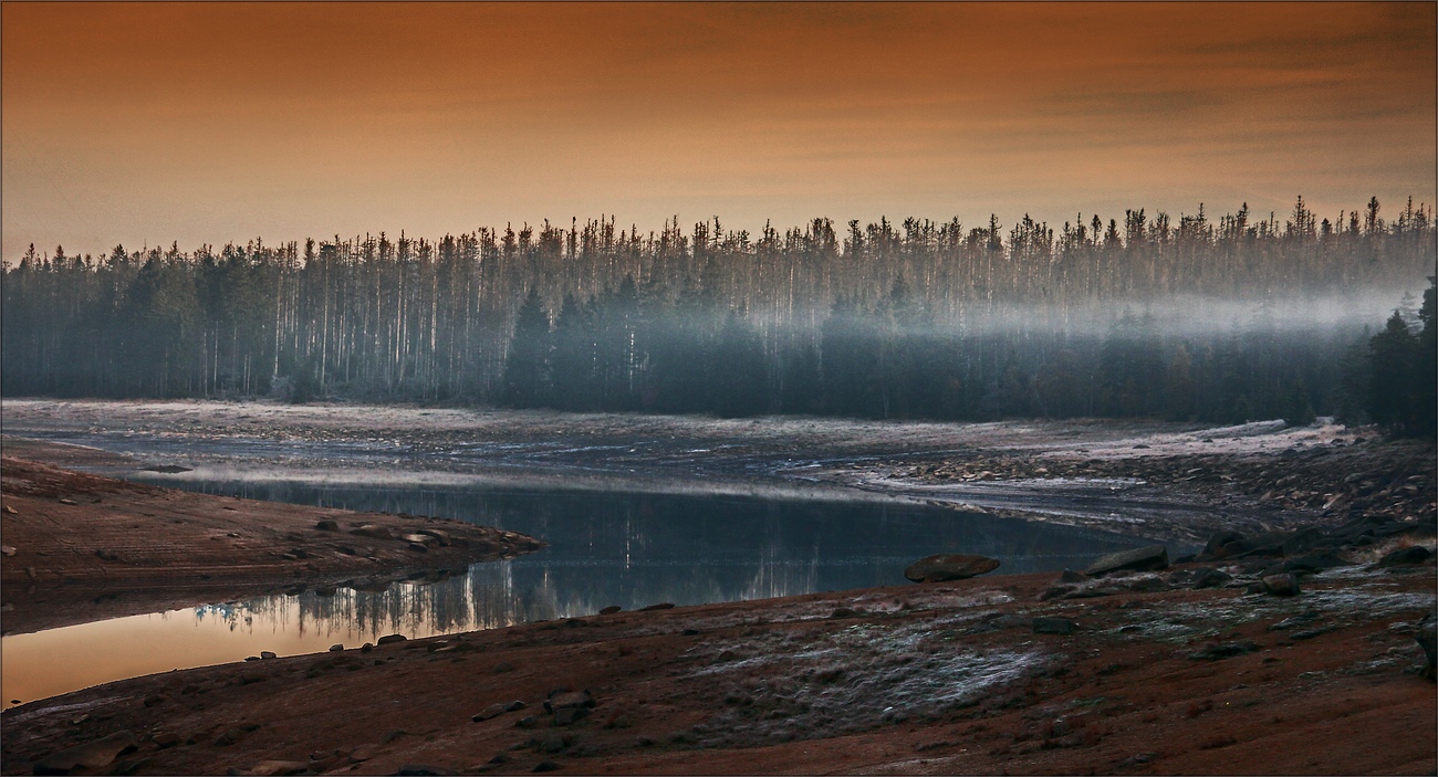 Morgennebel