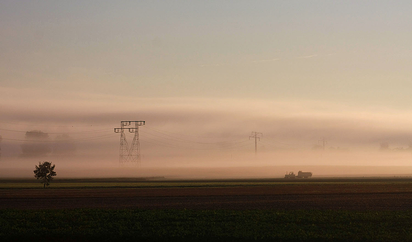 Morgennebel