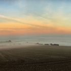 Morgennebel