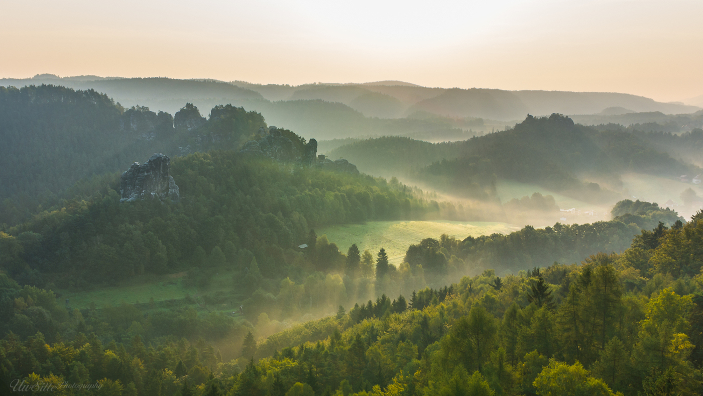 Morgennebel