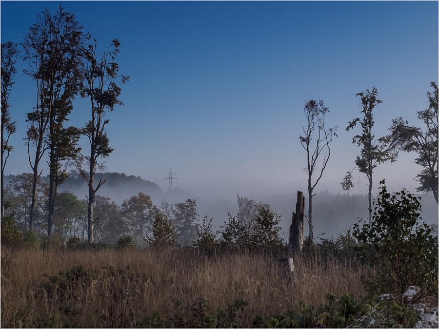 Morgennebel