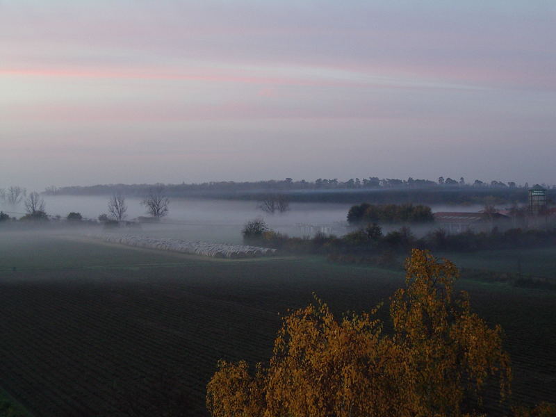 Morgennebel