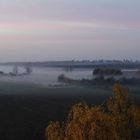 Morgennebel