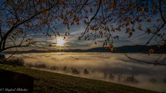 Morgennebel ...