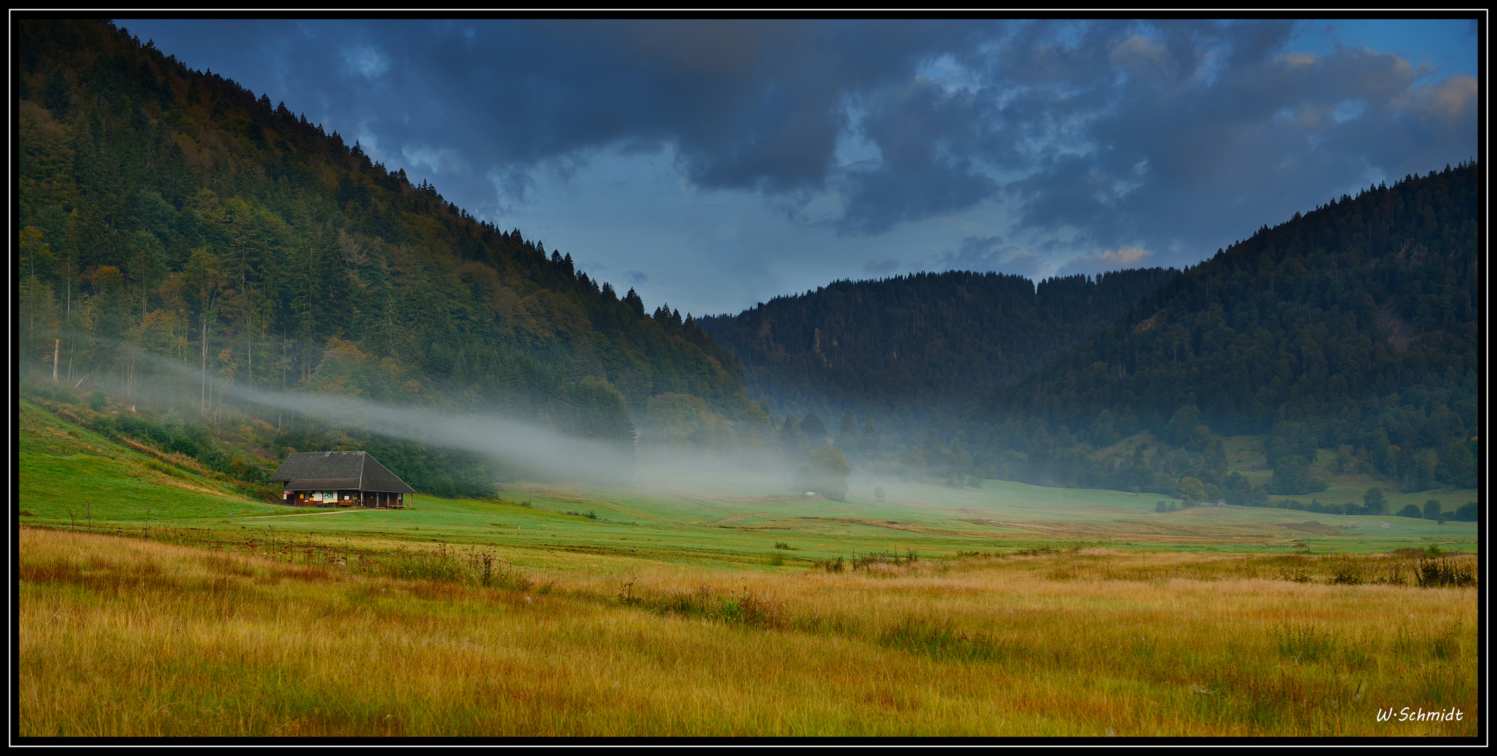 Morgennebel