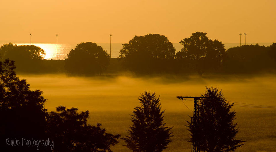 Morgennebel