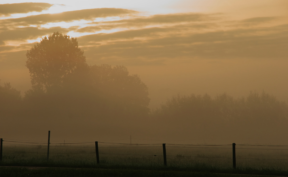 Morgennebel