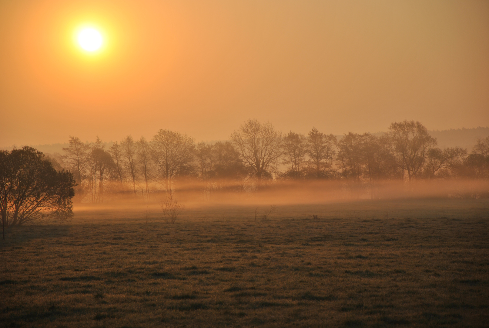 Morgennebel